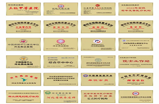 河北燕達醫院十五載榮譽之路：以仁心筑夢，引領醫養康融合高質量發展